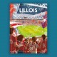 Affiche Lillois !
