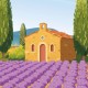 Provence postcard  / 10x15cm