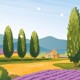 Provence postcard  / 10x15cm