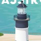 Affiche Phare de Chassiron