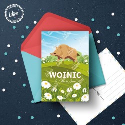 Carte postale Woinic / 10x15cm