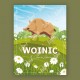 Affiche Woinic